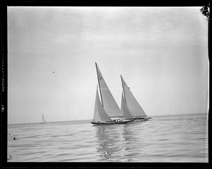 Sailboats