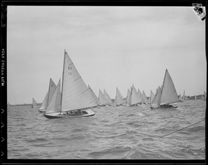 Sailboats