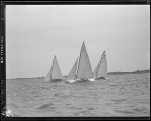 Sailboats