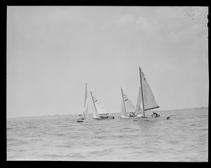Sailboats