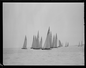 Sailing boats