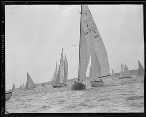 Sailing boats