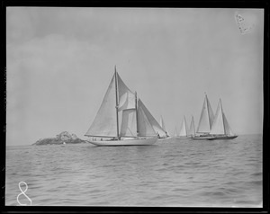 Pleasure sailing