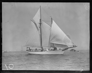 Pleasure sailing