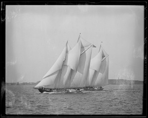 The "Baud" and "Bluenose" fisherman's race