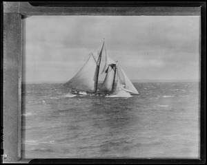 Fishing schooner "Elsie" carries away fore top mast in first race of the fisherman's race