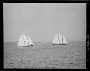 Fishing schooner races off Gloucester