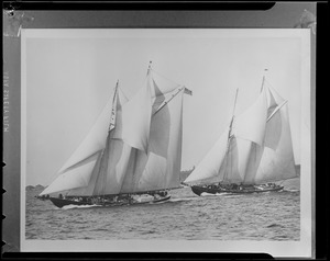Fishing schooner race