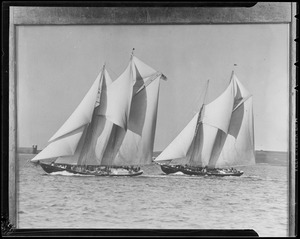 Fishing schooners race