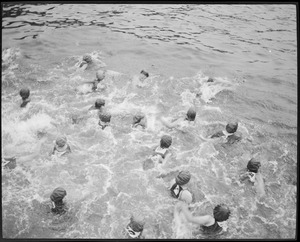Swimmers in the water, Charles River competition