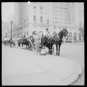 Horse and carriages