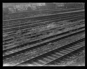 Tracks