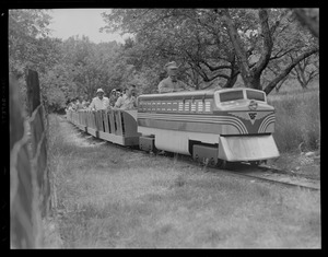 Mini train