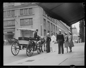 Horses passing away