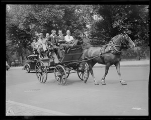 Horses passing away