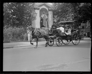 Horses passing away