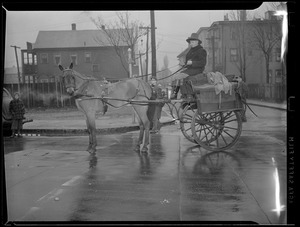 Horse and buggy