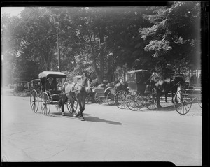 Gathering of horse-drawn vehicles in Grafton