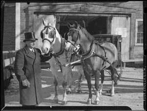 Old horse drawn sleigh