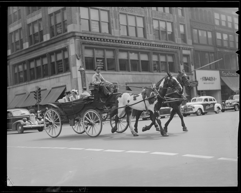 Horse and cart tour of Boston