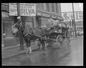 Horse-drawn wagon in Boston