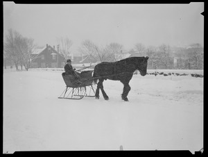 One-horse sleigh driving through snow