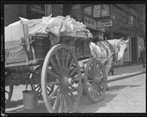 Horse and cart on Boston Street, after 1934