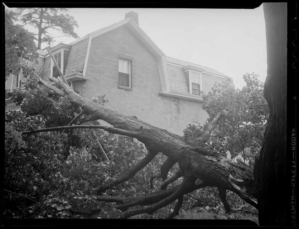 Tree limb falls on house during storm
