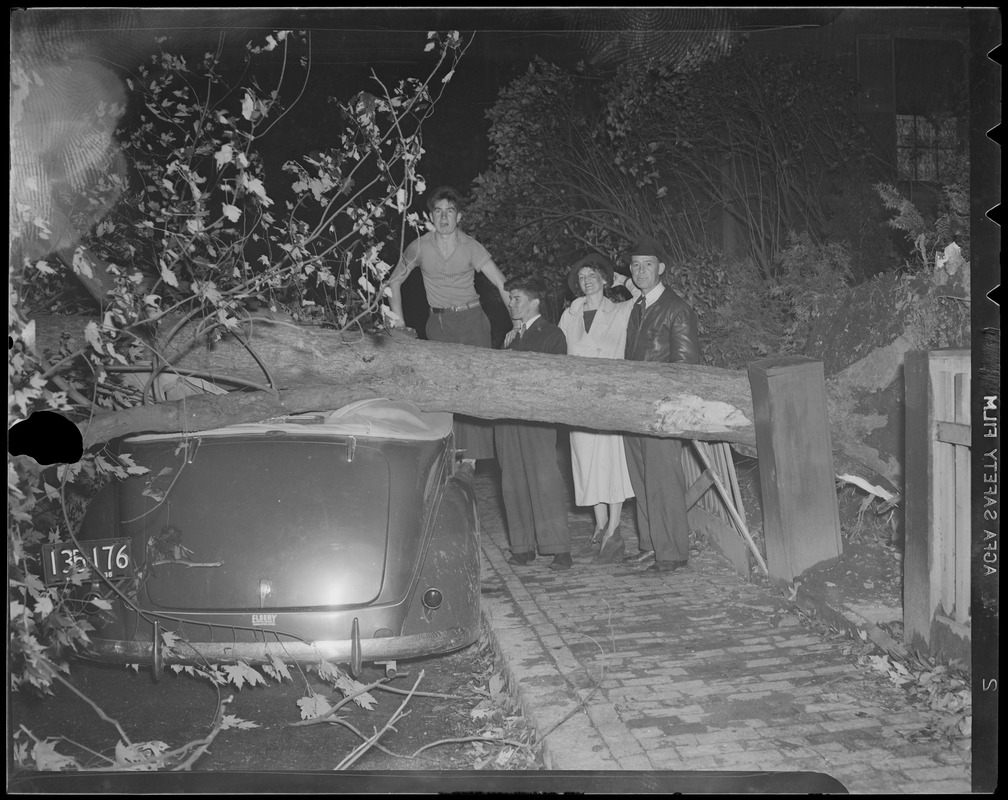Tree crushes convertible, Hilliard St., Cambridge, Hurricane of 38