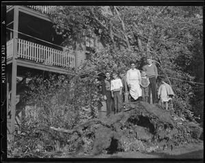 Group stands on fallen tree, Hurricane of 38