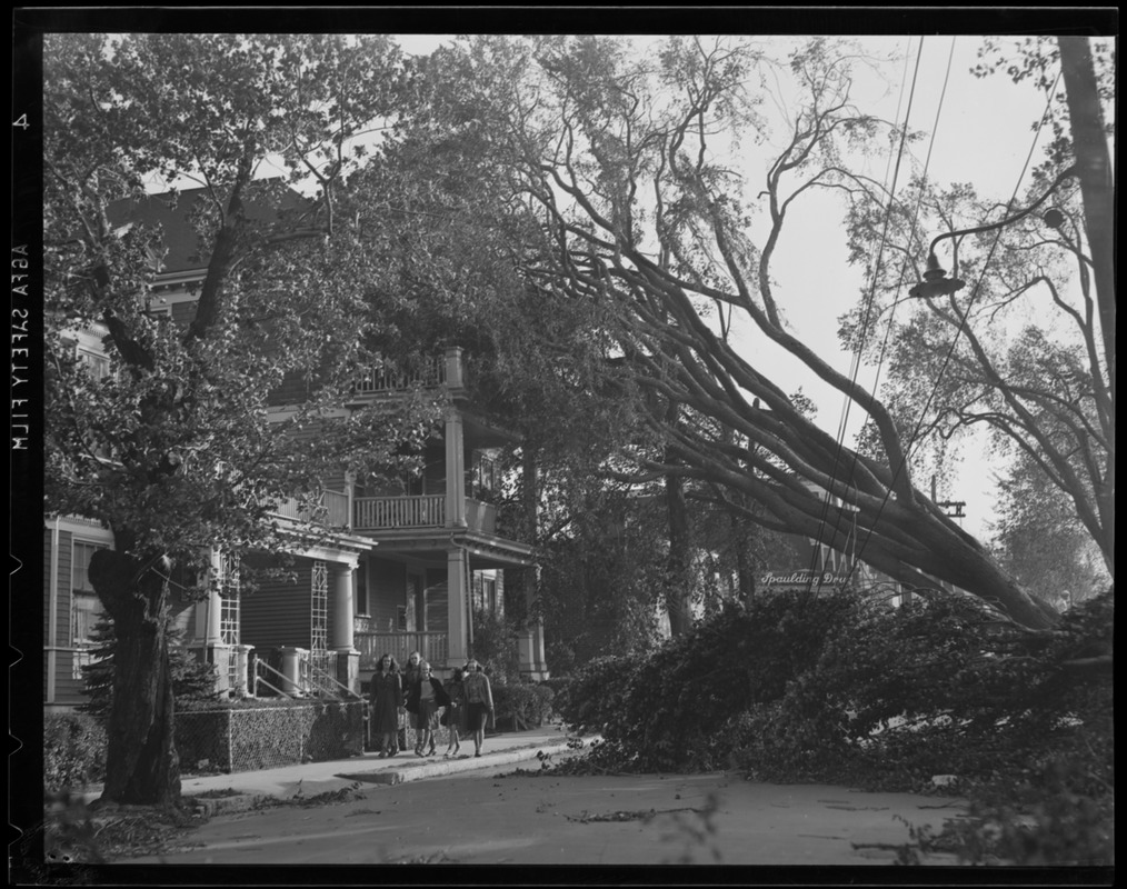 Tree falls on house, Hurricane of 38