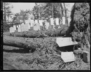 Cemetery destroyed, Hurricane of 38