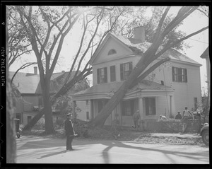 Trees crash into house, Hurricane of 38