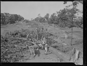 Trees fall in park, Hurricane of 38