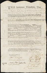 Elizabeth Champlen indentured to apprentice with Nathaniel Pain of Boston, 12 August 1785