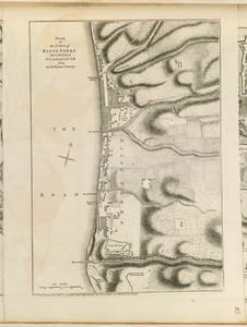 Plan of the town of Basse Terre the capital of Guadaloupe from an authentic survey