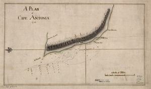 A Plan of Cape Antonia