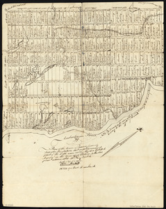 Plan of the Town of Turner, formerly Silvester Plantation