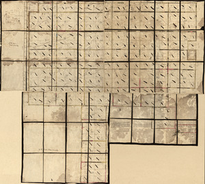Land ownership map of the William Bingham estate in Potter County, Pennsylvania