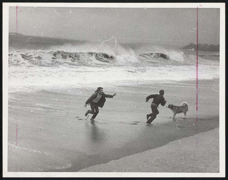 Boys and dog run before giant South Shore waves.