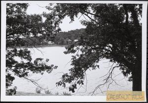 Chestnut Hill Res., Bri.