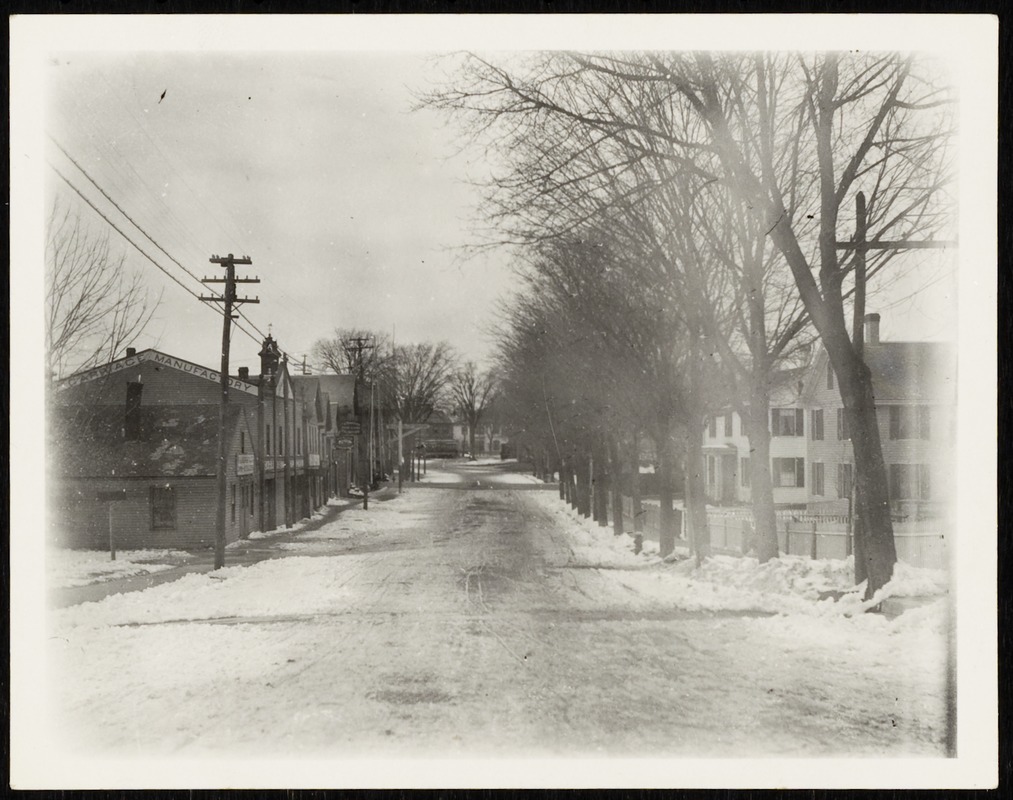 Newton Photographs Collection : Newton Corner, Nonantum Square and Centre Street, 1893-1898. - Loveland Photographs - Tree Lined Street -