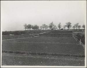 City of Boston. Institutions Long Island. Construction of new cemetery and reclamation of waste land, November 1, 1937. Thomas F. McGovern engineer for sponsor