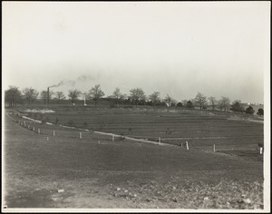 City of Boston Institutions Department, Long Island. Construction of new cemetery and reclaimation [sic] of waste land. November 1, 1937. Thomas F. McGovern engineer for sponsor