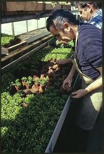 City of Boston Park Dept. Greenhouses at Franklin Park