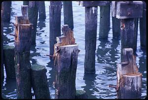 Old pier pylons, Boston