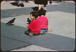 Two children sitting on ground near pigeons and other people, Boston Common