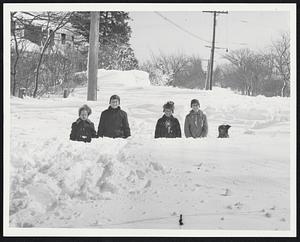5. Standing in the middle of Route 6, Cummaquid, where some of worst drifts of storm piled high were these youngsters, l to r: Roger Williams (coon cap); Tony Lovell; George Williams (coon cap) and Richard French.
