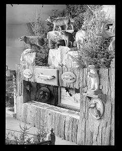 Display of various animals
