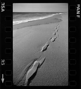 Footprints in sand, Cape Cod